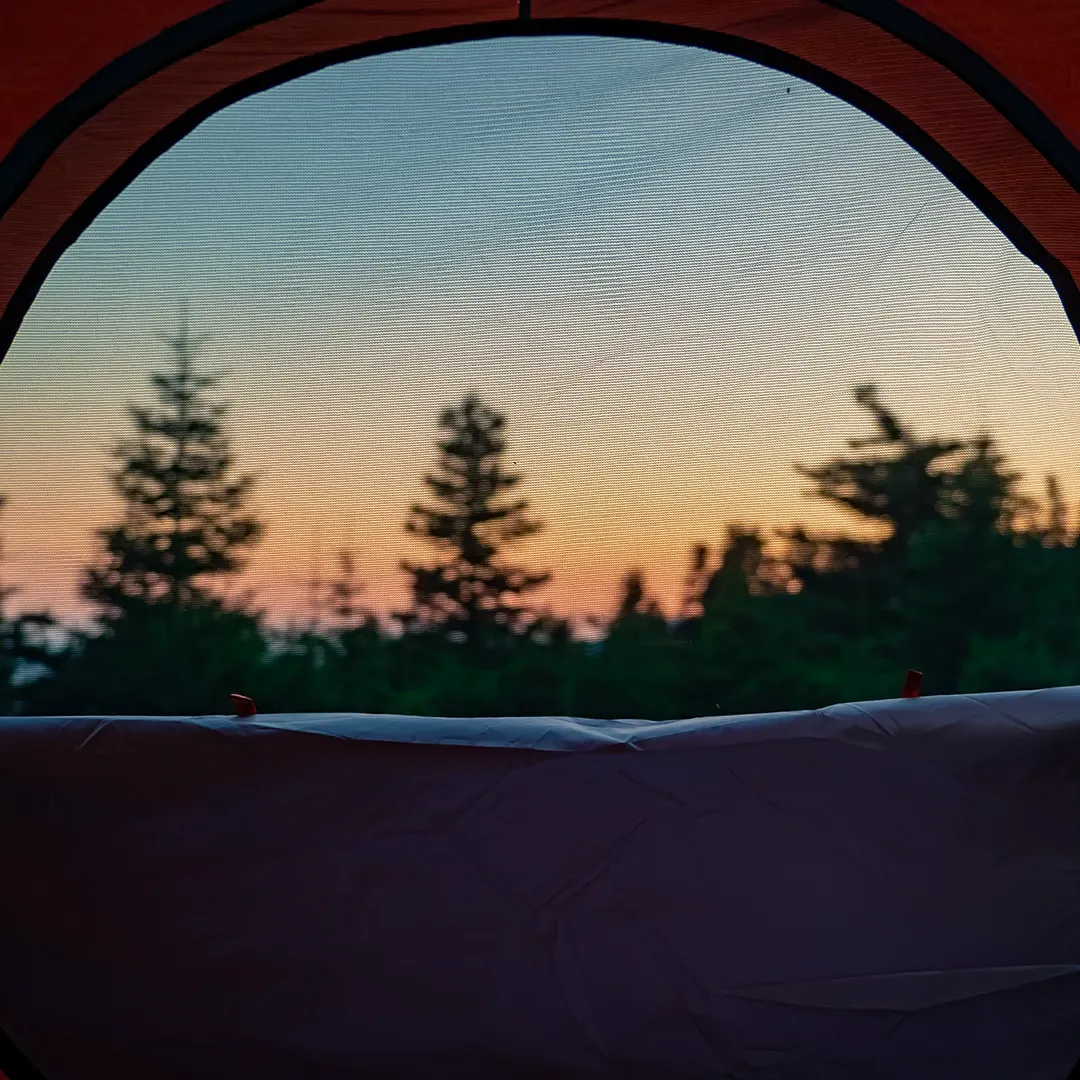 Looking out of a tent at dusk