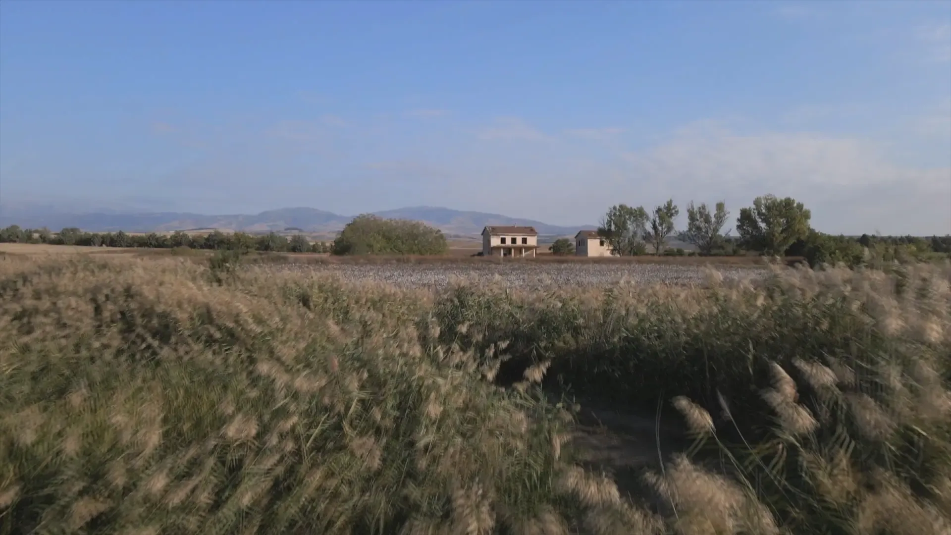 Myrina station in the fields